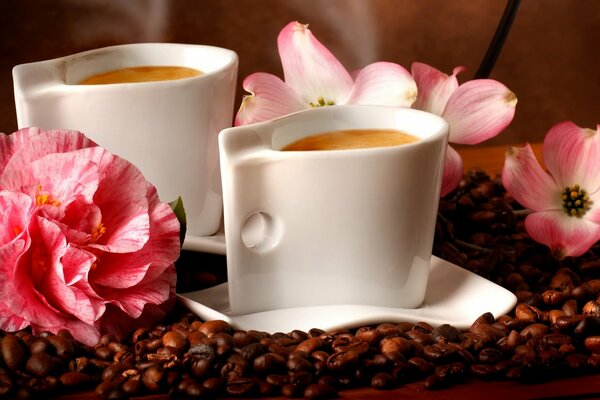 кофе аромат кофейные зерна цветы аромат кофе в зернах