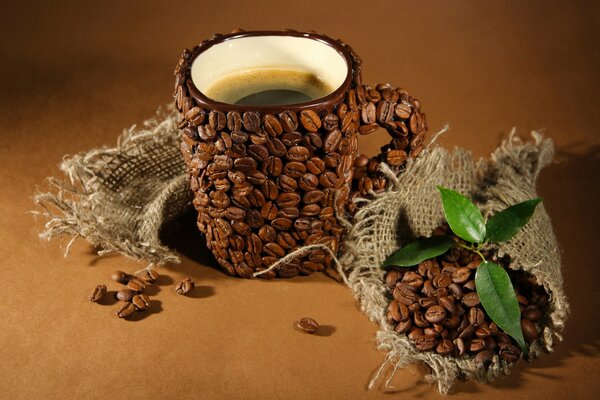 кофе листья чашка кофе кофе в зернах кружки креатив