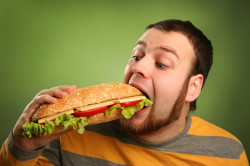 Вред жирной пищи перед анализами