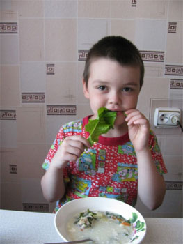 Чем кормить ребенка на завтрак? Копилка экологичных идей