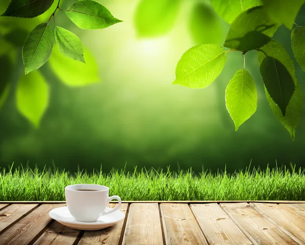 Чашка кофе и солнечные деревья фон Лицензионные Стоковые Изображения