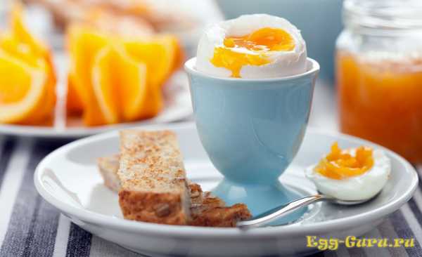 Полезны ли яйца всмятку на завтрак